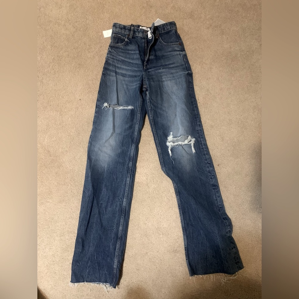 Zara high rise wide leg jean